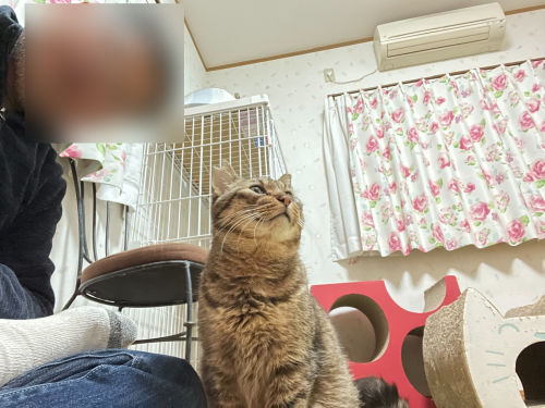 マツコと自撮り 〜旦那編〜_a0216583_23521596.png