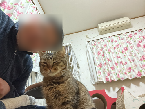 マツコと自撮り 〜旦那編〜_a0216583_23521854.png