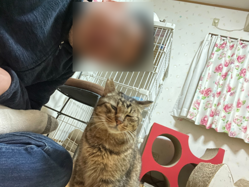 マツコと自撮り 〜旦那編〜_a0216583_23522158.png