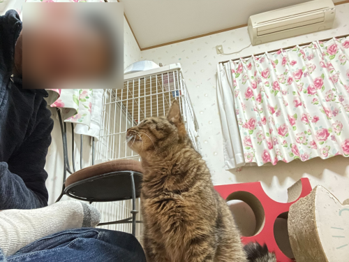 マツコと自撮り 〜旦那編〜_a0216583_23522467.png