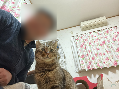 マツコと自撮り 〜旦那編〜_a0216583_23522754.png