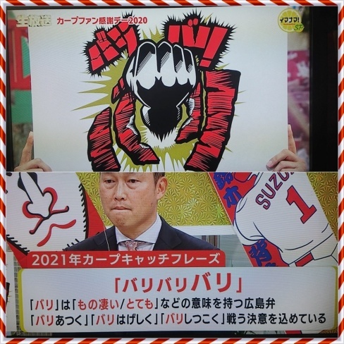 カープキャッチフレーズ 家族が増えました おカープ婦人な私の勝手な喜怒哀楽
