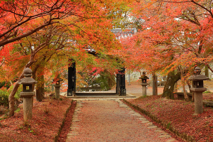 秋月の紅葉 九州ロマンチック街道