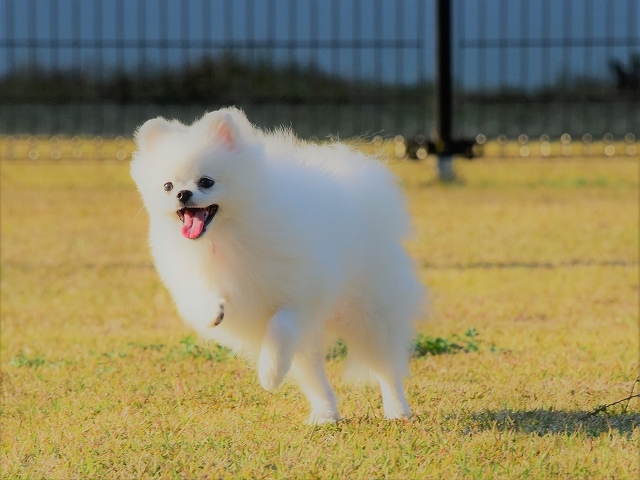 解決方法を編み出した_d0360206_23334844.jpg