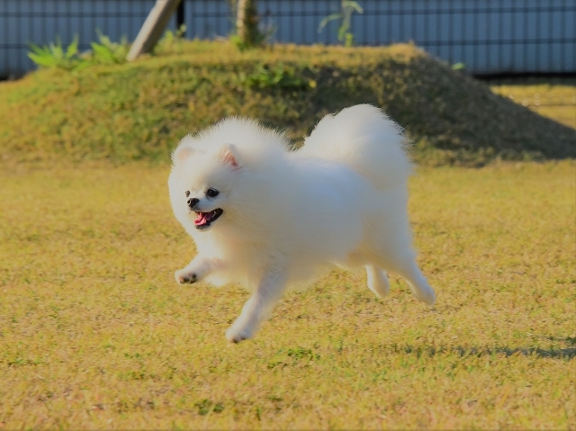 解決方法を編み出した_d0360206_23335159.jpg