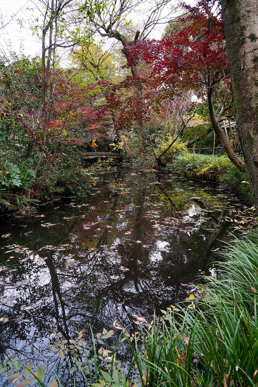 実篤公園の池の映り込み_b0225108_14520308.jpg