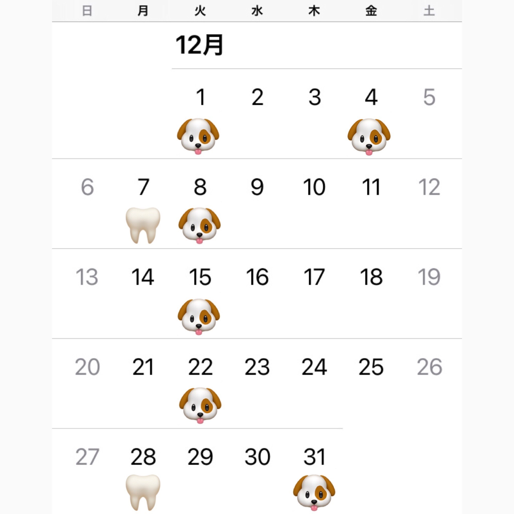 ☆ 12月の営業日 & デンタルケア ☆_d0060413_16514582.jpg