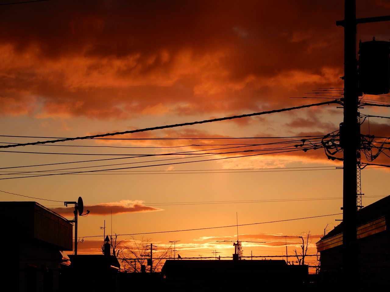 日に日に寒くなります_c0025115_21235016.jpg