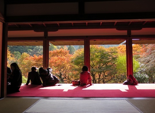 紅葉 高山寺 Arekore 紅葉 高山寺 Arekore
