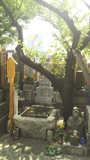 【ピカレスク】白井権八小紫、例によって江戸前期、霞と消えた物語【幡随院長兵衛】_b0116271_15243783.jpg