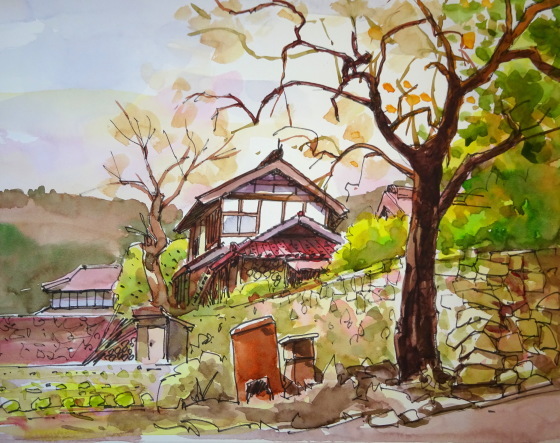 tedkimotoの水彩画