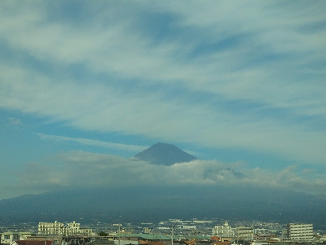 静岡でしゃべり倒して来ました♪_b0331802_07313732.jpg