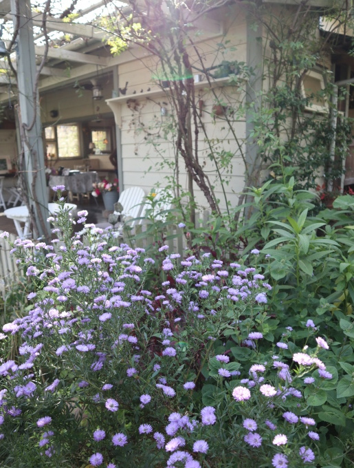 西の方から来たお客様とカフェ・グリーンローズと服部牧場_b0331802_22173612.jpg