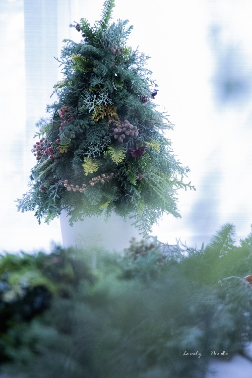 妄想クリスマス ♪_d0257606_20133717.jpg