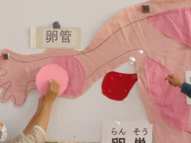私自身がドキドキ、赤くなるような性教育授業 富士マウントライオンズクラブの青少年育成事業「いのちを考える」_f0141310_07204055.jpg