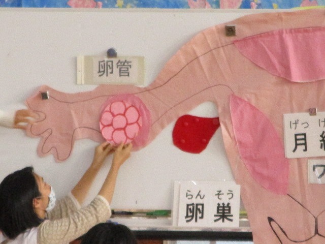 私自身がドキドキ、赤くなるような性教育授業 富士マウントライオンズクラブの青少年育成事業「いのちを考える」_f0141310_07204820.jpg