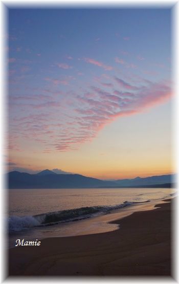 海辺の朝散歩 GTK⑦_d0387712_14324391.jpg