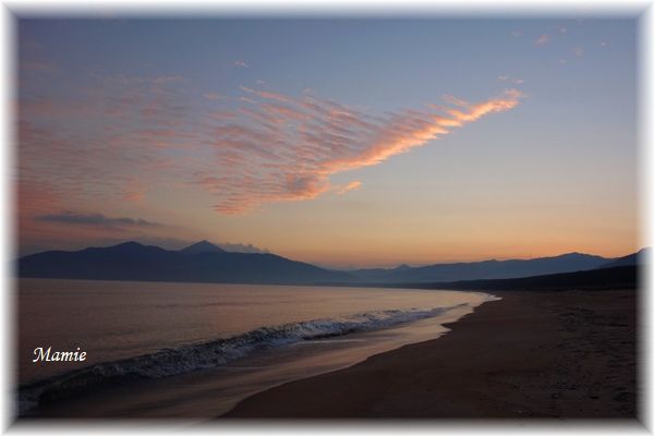 海辺の朝散歩 GTK⑦_d0387712_14324696.jpg
