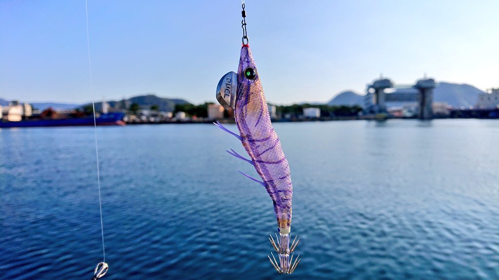 対馬で自転車キャンプ×釣り 1/3_d0211129_12570484.jpeg