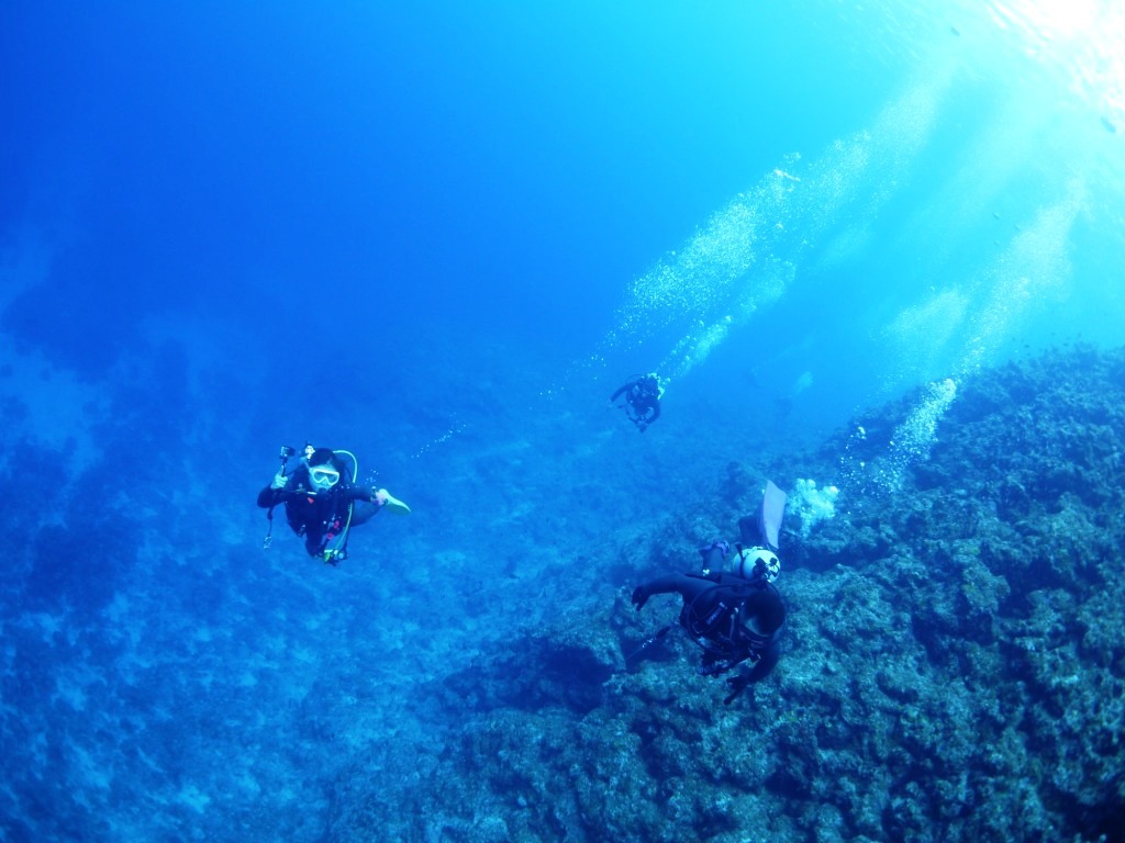 青い黒島でダイビング~♪_a0189838_14072070.jpg
