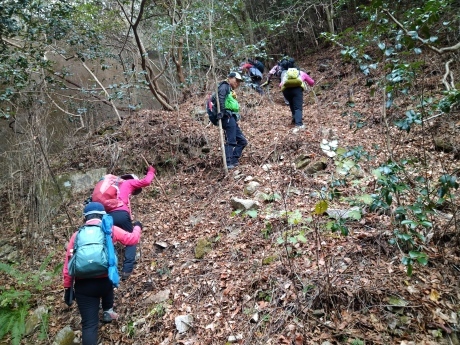 黒岩谷~天狗岩南尾根~西山谷~渦森台_c0218841_16374130.jpg