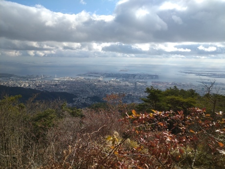 黒岩谷~天狗岩南尾根~西山谷~渦森台_c0218841_17203791.jpg