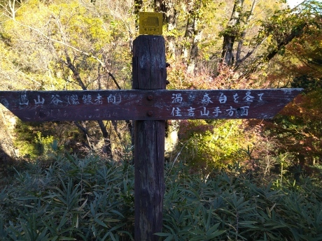 黒岩谷~天狗岩南尾根~西山谷~渦森台_c0218841_17251642.jpg