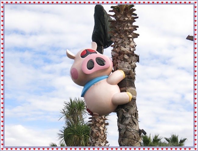 豚さんもおだてりゃ木に O ポポの日記と花とドライブ