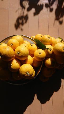 レモンがいっぱい 英語のlemonは悪い意味 Keri先生のシネマ英語塾
