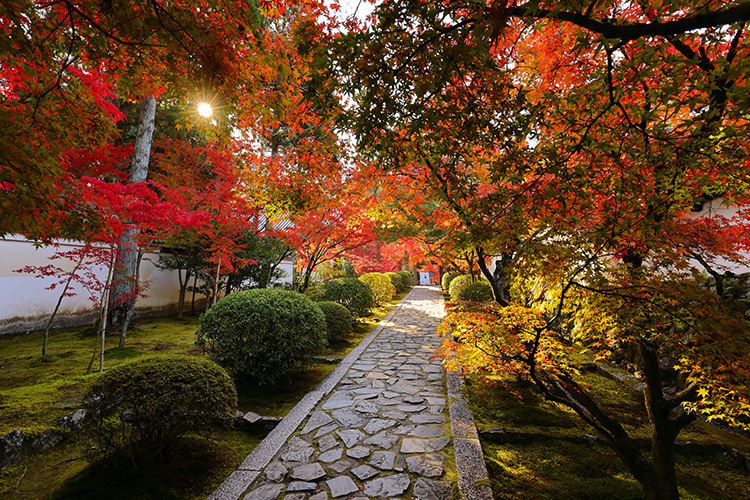 酬恩庵一休寺_e0051888_22035818.jpg
