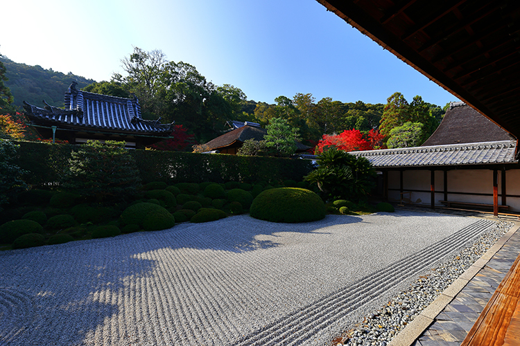 酬恩庵一休寺_e0051888_22035849.jpg