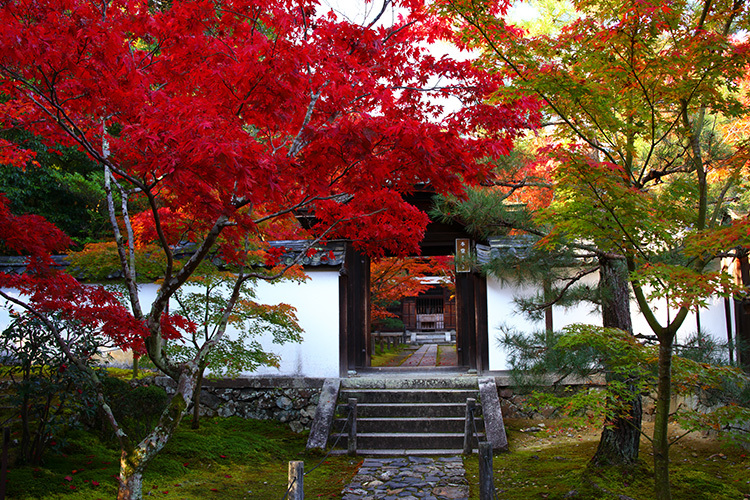 酬恩庵一休寺_e0051888_22035899.jpg