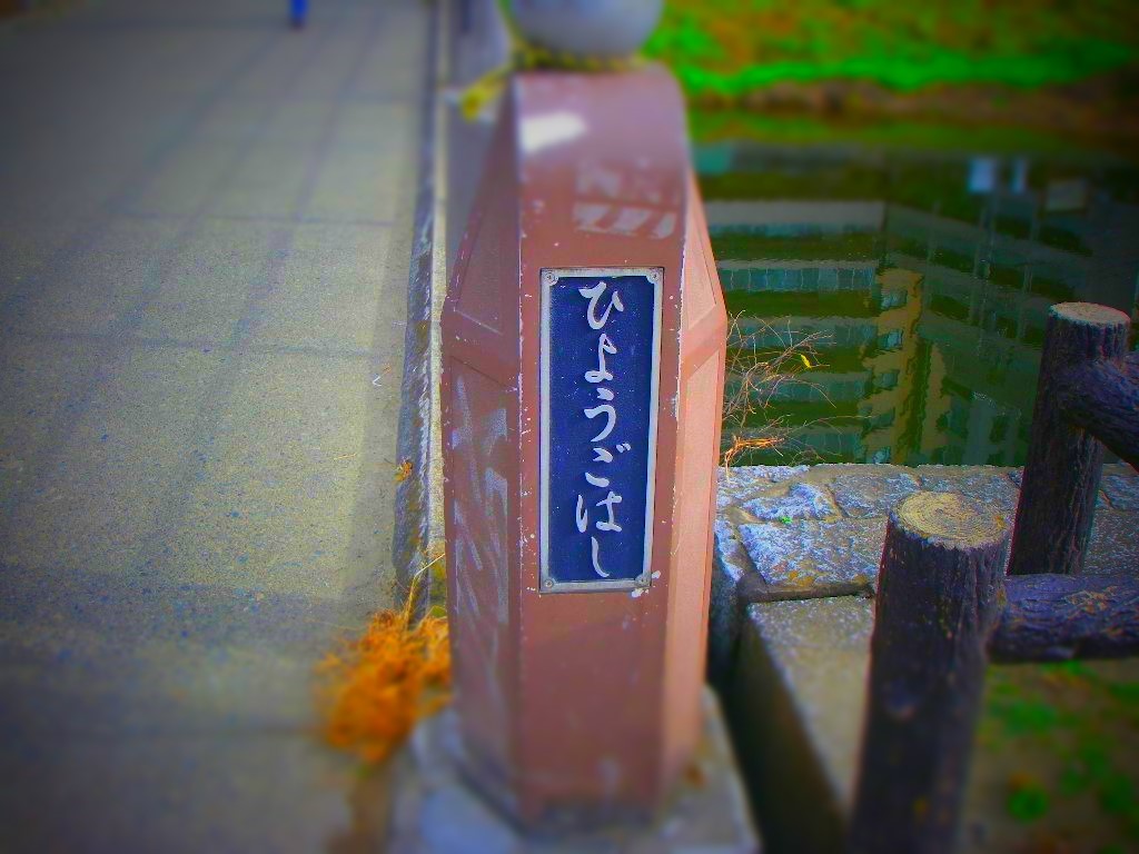 冬季の鯉シーズン始めました。_a0130057_12493126.jpg