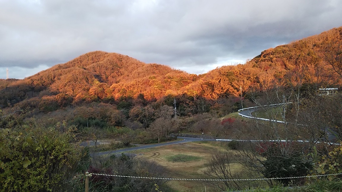 大渋山～坂浦港_d0007657_10295791.jpg