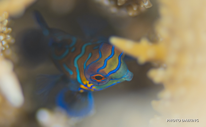 『混在』_e0158261_07114716.jpg
