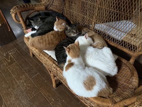 6月のインスタまとめ りきの毎日 6月のインスタまとめ りきの毎日