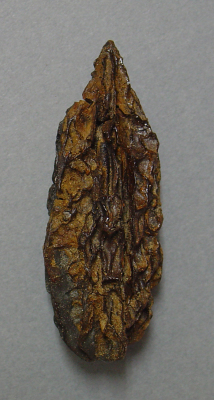 バタグルミ化石　土付き⑨ ISHIDA製品（ターミホイル端子・その他） – 有限会社石田電業社