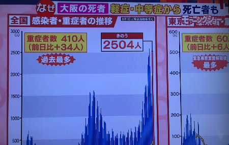 重症化した高齢者はトリアージ – 田村憲久の「最悪の事態も想定」の意味_c0315619_14521420.png
