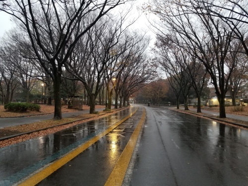 雨の公園でアンデスの乙女に会った_e0016828_10495368.jpg