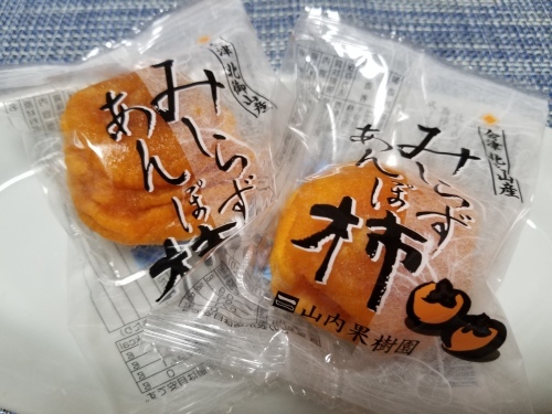 雨の公園でアンデスの乙女に会った_e0016828_10524139.jpg