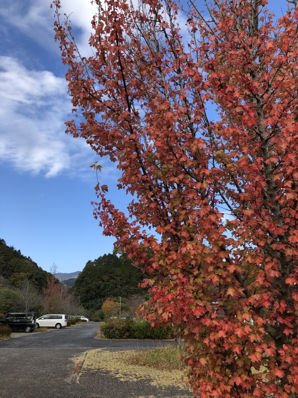 有田焼の町で_e0343944_12312915.jpg