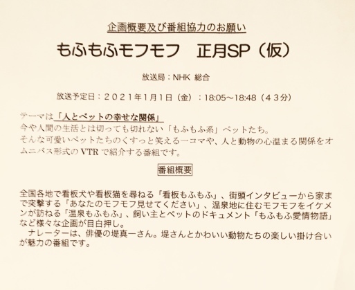八代亜紀san登場 もふもふモフモフ Nhk 神楽坂旦那ブログ 八代亜紀san登場 もふもふモフモフ Nhk 神楽坂旦那ブログ