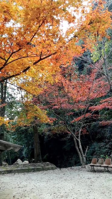 やっとでた!動画 水谷峡にいきました。 原付ツーリング_b0396848_23354053.jpg