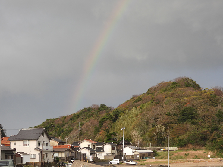 タヒバリ_f0214649_05043803.jpg