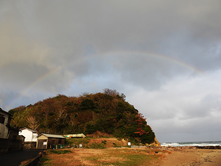 タヒバリ_f0214649_05045474.jpg