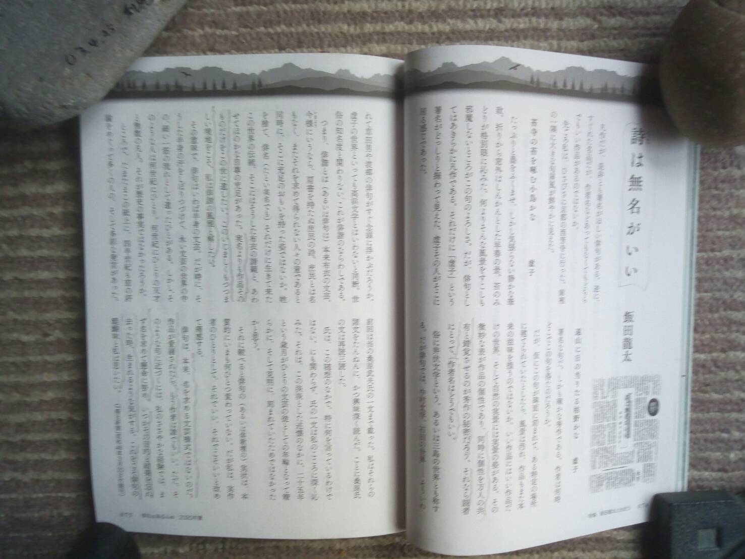 俳句年鑑2017年版を読んで_b0223579_06424970.jpeg