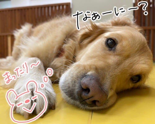 ぱしゃり📸_f0357682_02310617.jpg