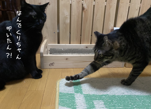やってもたな、はる(⌒-⌒; )_a0216583_12113769.png