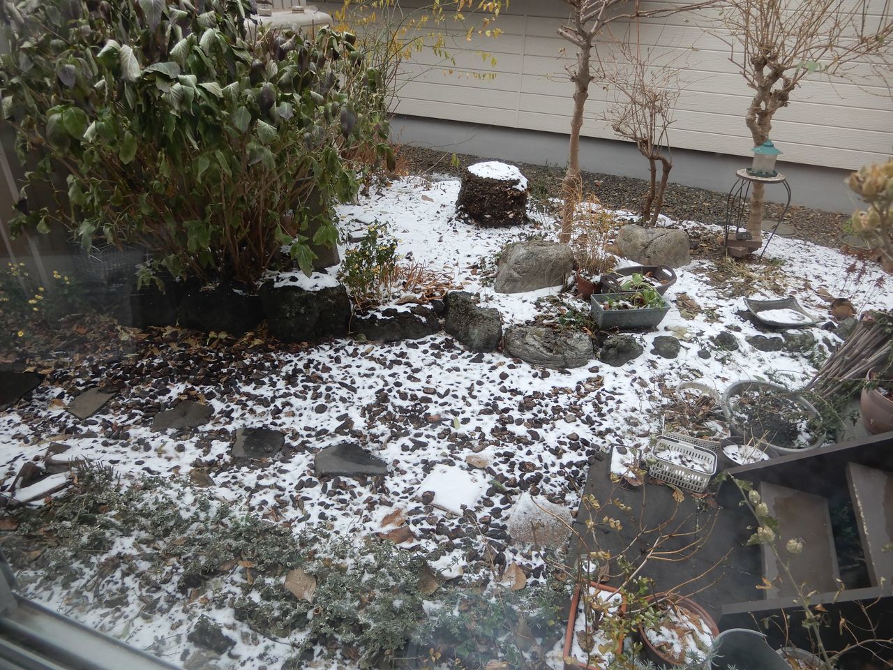 なんちゃって積雪_c0025115_21164245.jpg