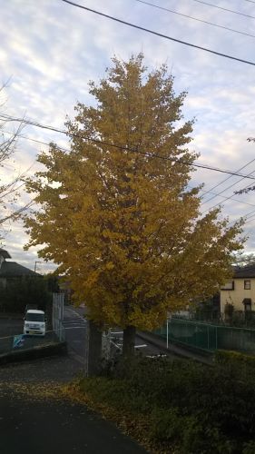 本当に近い場所で_c0155326_21392088.jpg